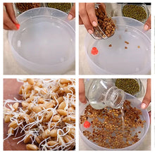 0093A Sprout Maker 3 Bowl Sprout Maker for Home (3 Layer) 