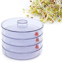 070 Plastic 4 Compartment Sprout Maker, White LetZcart