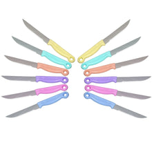 2551 Multipurpose Top Kitchen Knife for Home and Restaurant (12Pcs Set) 